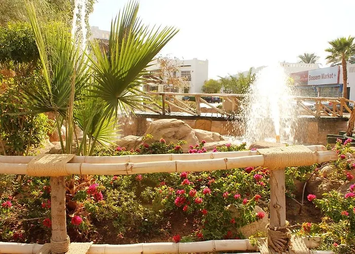 Delta ,official Web, Delta Rent, Sheikh, South Sinai, Egypt 度假村