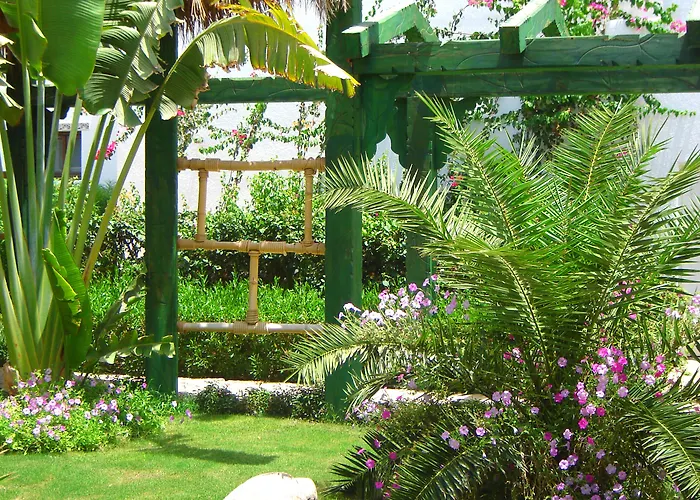 Resort Delta ,official Web, Delta Rent, Sheikh, South Sinai, Egypt