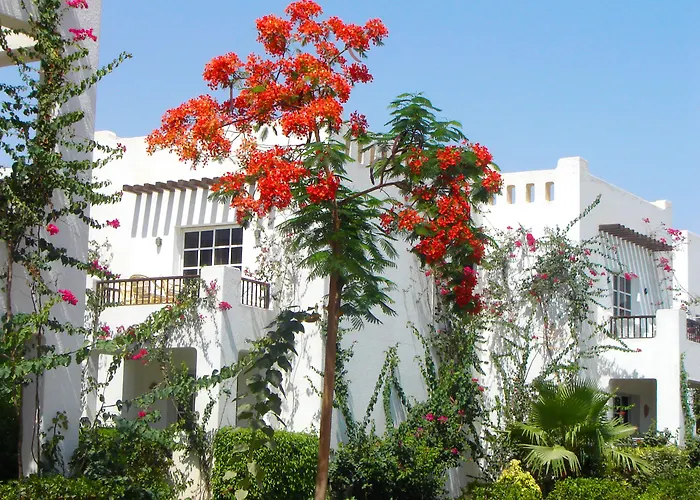 Delta ,official Web, Delta Rent, Sheikh, South Sinai, Egypt Şarm El-Şeyh